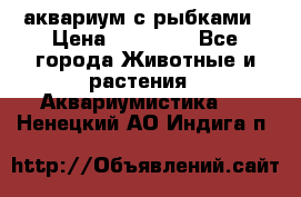 аквариум с рыбками › Цена ­ 15 000 - Все города Животные и растения » Аквариумистика   . Ненецкий АО,Индига п.